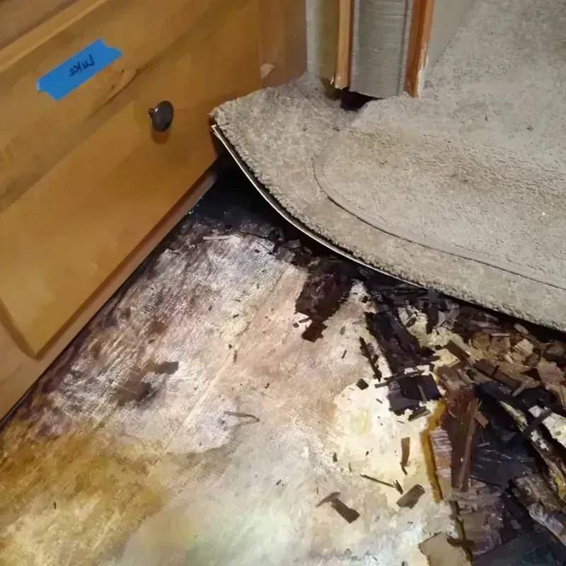 Wood Floor Water Damage in Kent County, MD